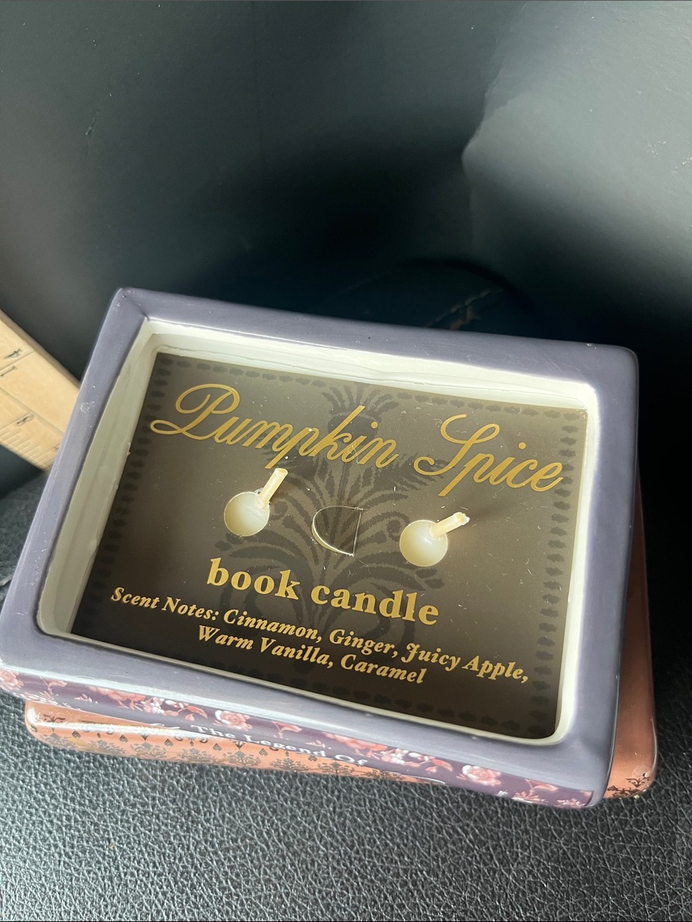 The Legend of Sleepy Hollow Decorative Book Candle - Plum & Rose